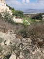 תמונה ממוזערת לגרסה מתאריך 05:43, 5 באוגוסט 2025