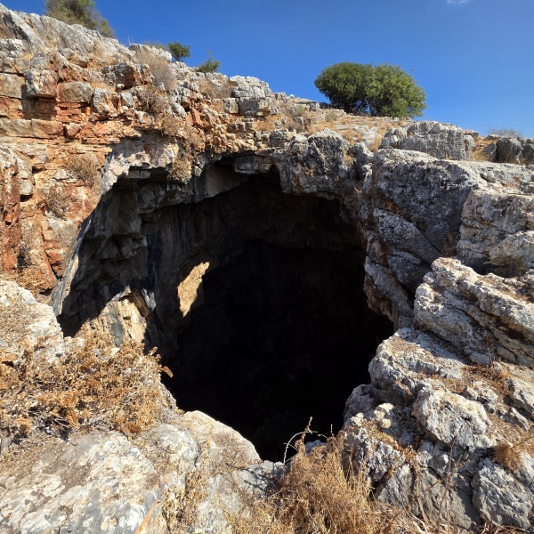 קובץ:2025-08-05T09 35 30.443896986427.jpg