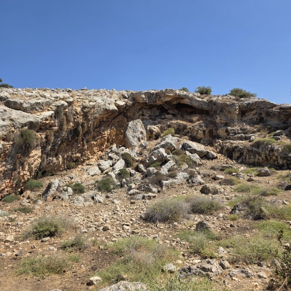 קובץ:2025-08-05T10 26 51.001208279099.jpg