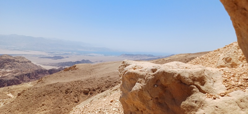 קובץ:2025-08-05T12 09 39.633934175141.jpg