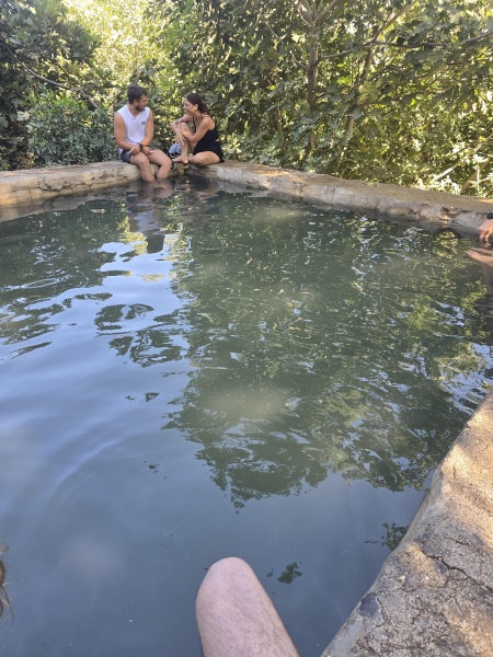 קובץ:2025-08-05T15 26 58.47171868779.jpg