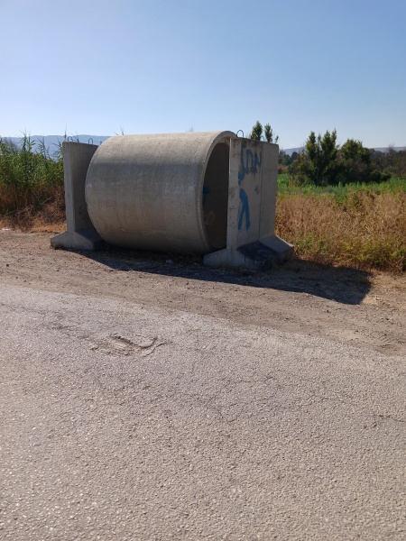 קובץ:2025-08-05T16 07 38.175235654584.jpg