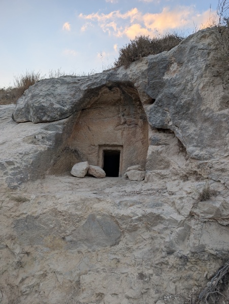 קובץ:2025-08-05T19 21 47.516761768564.jpg