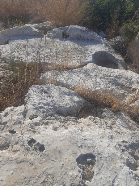 קובץ:2025-08-06T08 21 08.799471581312.jpg