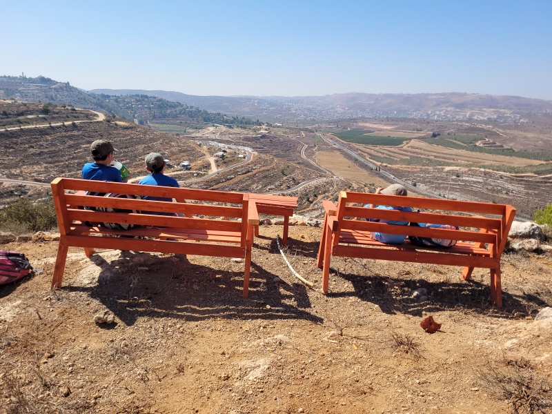קובץ:2025-08-06T10 05 04.684210802575.jpg
