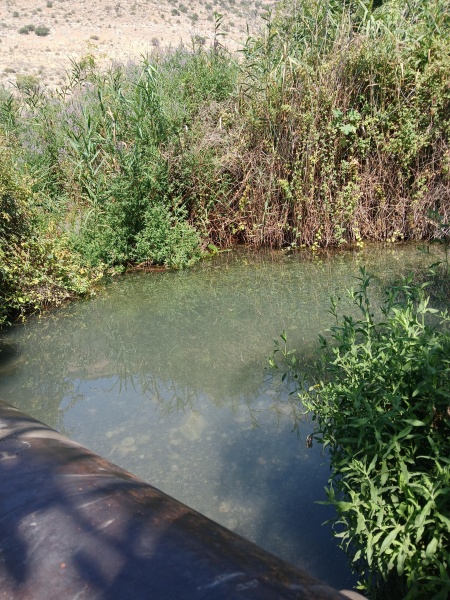 קובץ:2025-08-06T10 07 41.875145813861.jpg