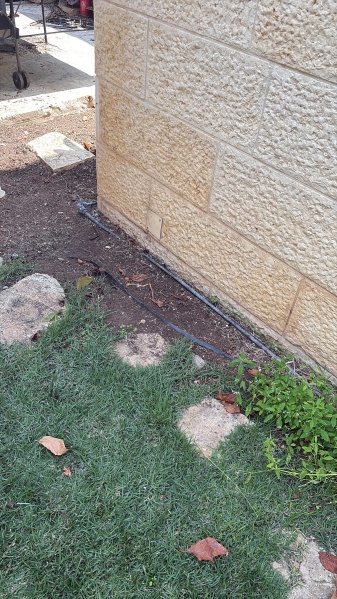 קובץ:2025-08-06T12 26 08.980519652709.jpg
