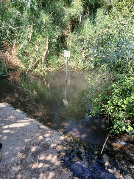 קובץ:2025-08-06T14 28 42.589374824395.jpg