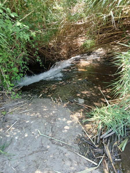 קובץ:2025-08-06T14 29 12.460303382500.jpg