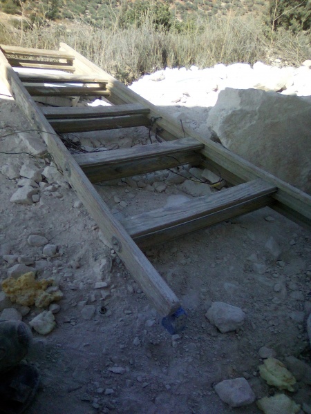 קובץ:2025-08-06T16 03 22.524585258518.jpg