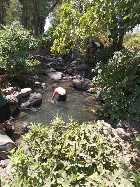 קובץ:2025-08-07T13 50 28.729838544807.jpg