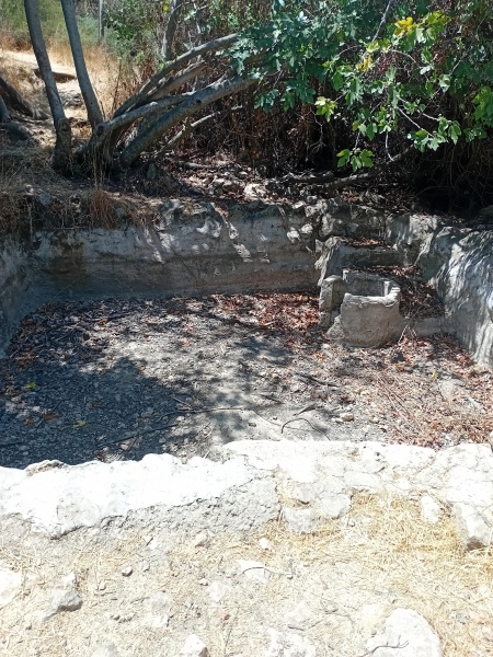 קובץ:2025-08-07T14 07 21.430111157387.jpg