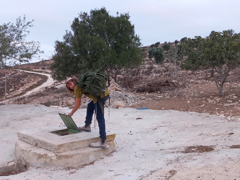 קובץ:2025-08-08T06 13 42.506284669480.jpg