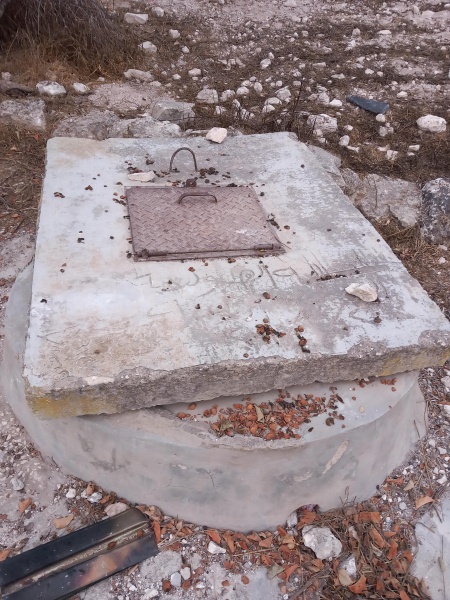 קובץ:2025-08-08T06 16 26.375514538095.jpg