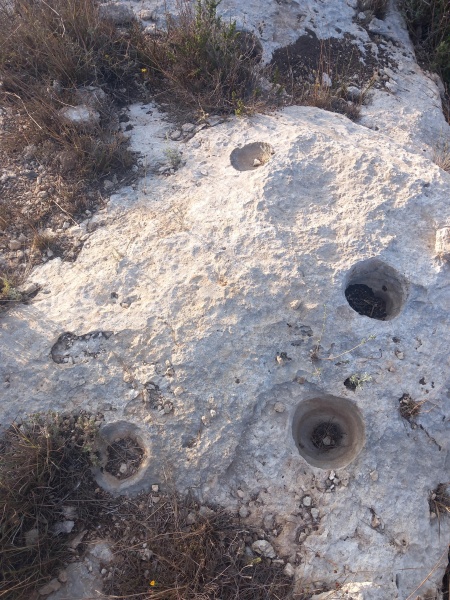 קובץ:2025-08-08T07 20 20.315261111585.jpg