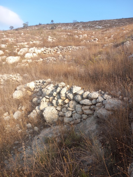 קובץ:2025-08-08T07 31 28.848592577781.jpg