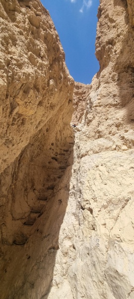 קובץ:2025-08-08T07 52 45.833958842523.jpg
