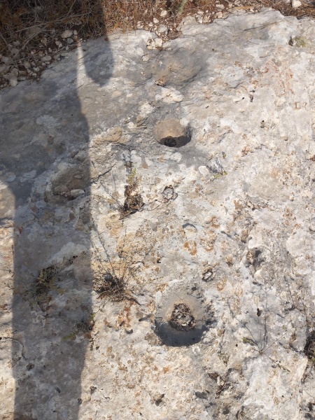 קובץ:2025-08-08T08 30 01.022218540965.jpg