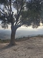 תמונה ממוזערת לגרסה מתאריך 07:37, 8 באוגוסט 2025