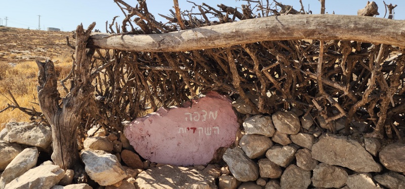 קובץ:2025-08-08T16 14 20.787875887469.jpg