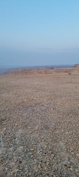 קובץ:2025-08-09T06 16 21.350462507493.jpg