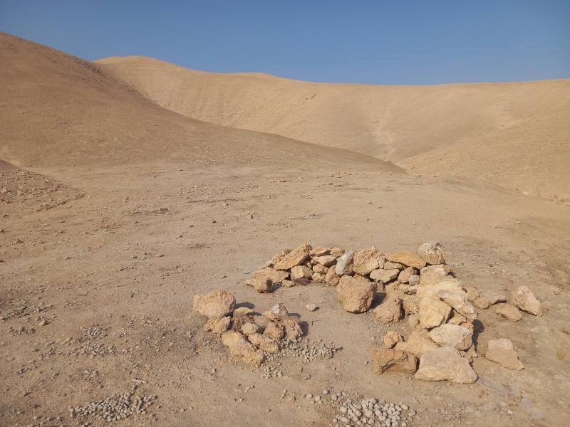 קובץ:2025-08-09T08 19 04.52043580671.jpg