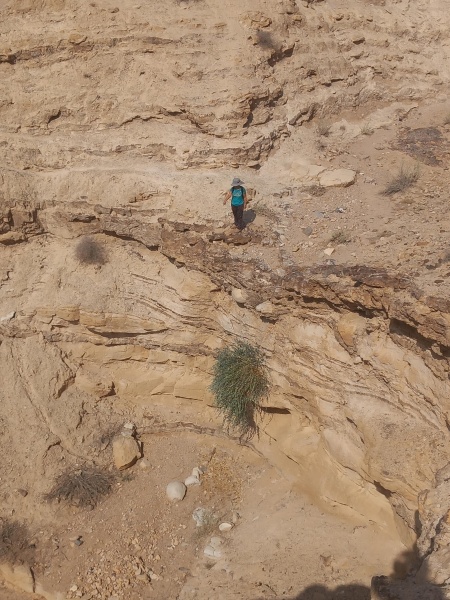 קובץ:2025-08-09T09 29 43.434091849965.jpg