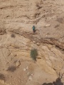 תמונה ממוזערת לגרסה מתאריך 12:37, 9 באוגוסט 2025