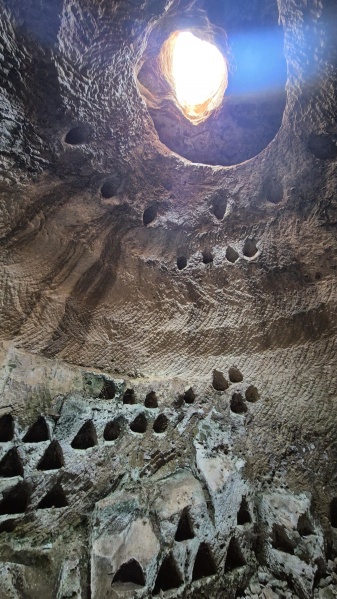 קובץ:2025-08-09T17 50 16.34339596703.jpg