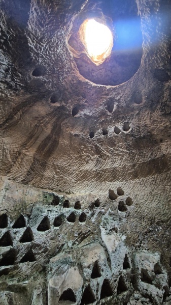 קובץ:2025-08-09T17 51 02.744727453452.jpg