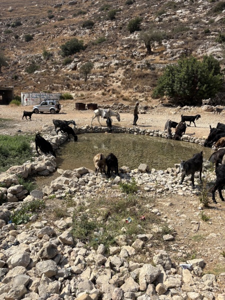 קובץ:2025-08-09T18 05 09.396135399730.jpg