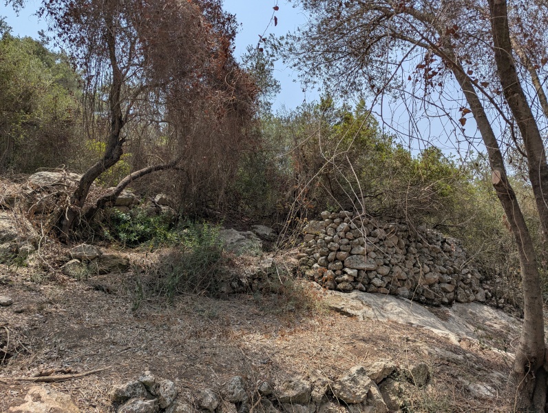 קובץ:2025-08-11T12 30 27.047824806092.jpg