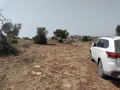 תמונה ממוזערת לגרסה מתאריך 11:34, 11 באוגוסט 2025