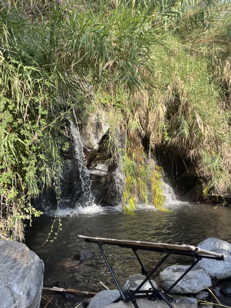 קובץ:2025-08-11T17 31 41.356193530156.jpg