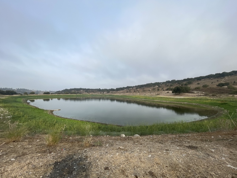 קובץ:2025-08-12T07 24 02.96963852.jpg