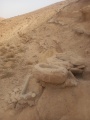 תמונה ממוזערת לגרסה מתאריך 15:10, 12 באוגוסט 2025