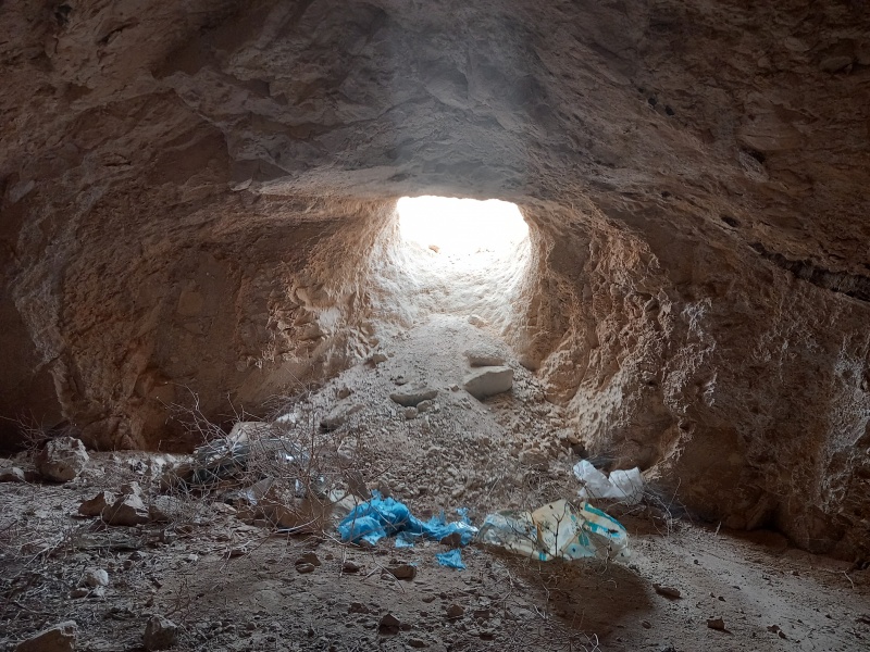 קובץ:2025-08-12T07 35 56.739753847433.jpg