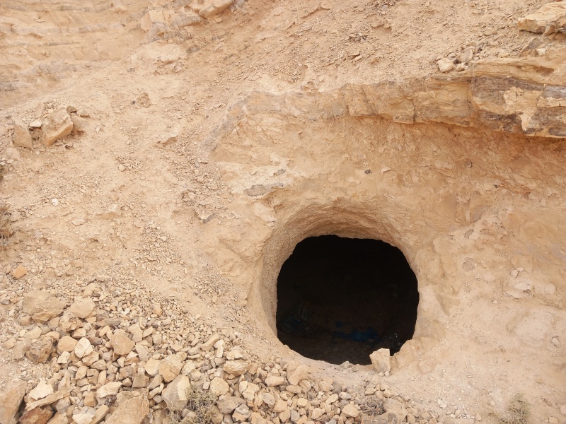 קובץ:2025-08-12T07 36 07.656540700308.jpg