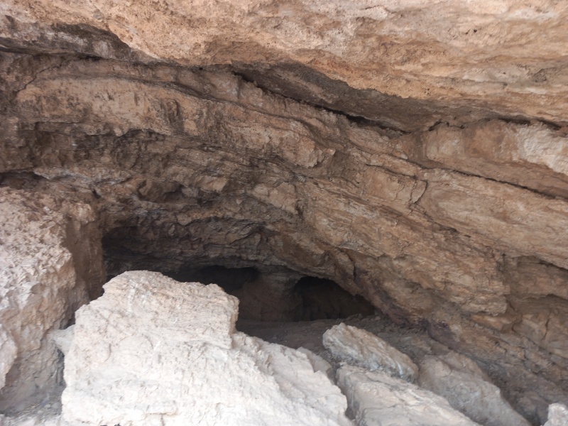 קובץ:2025-08-12T07 56 50.31186436843.jpg