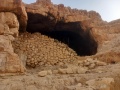 תמונה ממוזערת לגרסה מתאריך 15:10, 12 באוגוסט 2025
