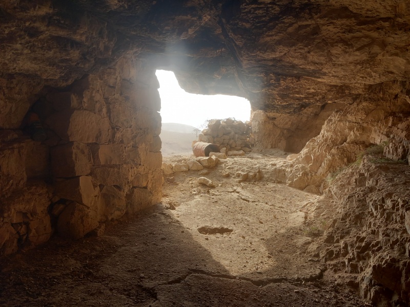 קובץ:2025-08-12T08 37 24.672399560372.jpg