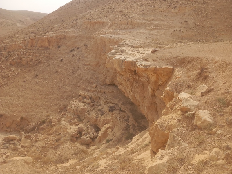 קובץ:2025-08-12T08 59 41.088954374069.jpg