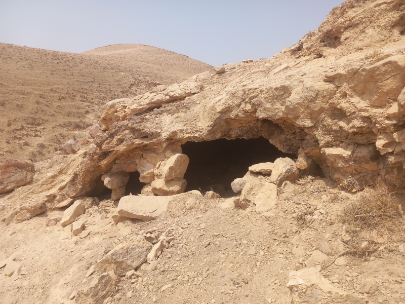 קובץ:2025-08-12T11 06 13.373930247105.jpg