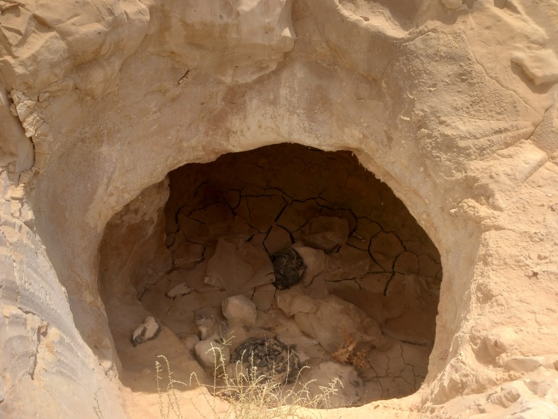 קובץ:2025-08-12T11 31 45.862878906542.jpg