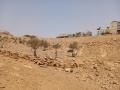 תמונה ממוזערת לגרסה מתאריך 15:11, 12 באוגוסט 2025