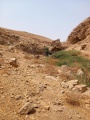 תמונה ממוזערת לגרסה מתאריך 15:12, 12 באוגוסט 2025