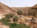 תמונה ממוזערת לגרסה מתאריך 15:12, 12 באוגוסט 2025