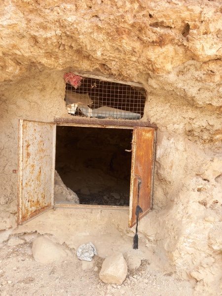 קובץ:2025-08-12T12 25 22.184652535395.jpg