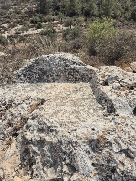 קובץ:2025-08-12T14 17 23.732677736322.jpg