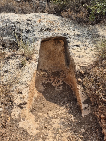 קובץ:2025-08-12T14 26 34.408132271588.jpg